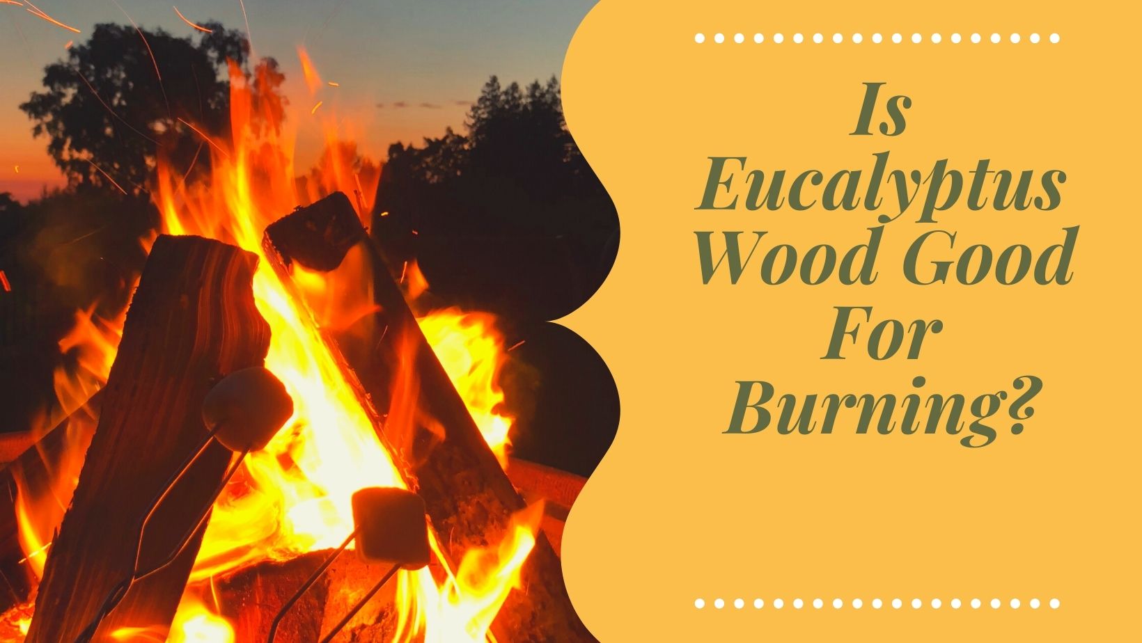 Burning Eucalyptus Firewood: Is Eucalyptus Wood Good For Burning?